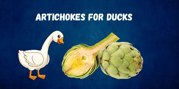 Safe Foods for Ducks Can Ducks Eat Artichokes? A Safe Combination