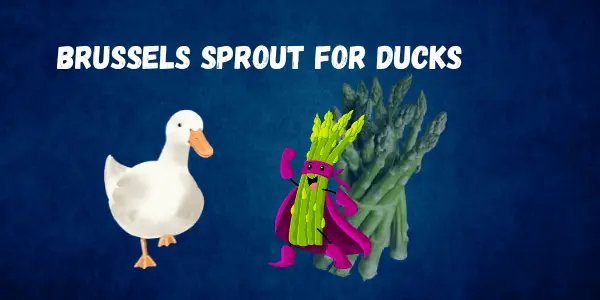 Expert Advice You Can Trust Why Can Ducks Eat Asparagus Explor Benefits
