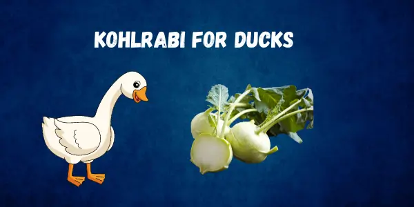 A Safe and Healthy Treat Can Ducks Safely Eat Kohlrabi? Get the Facts