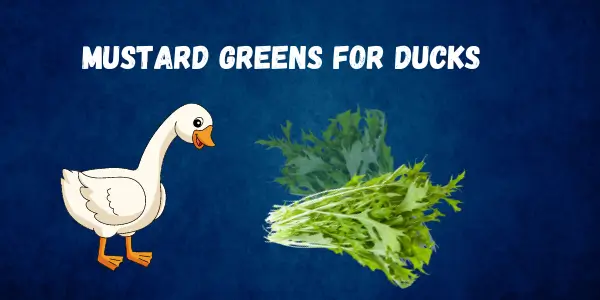 Can Ducks Eat Mustard Greens? Comprehensive Nutritional Insights - Post Thumbnail