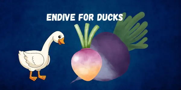 Feeding Guide Can Ducks Eat Rutabaga Is It Safe or Harmful?