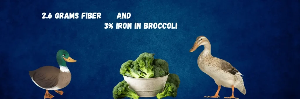 Feeding broccoli to ducks