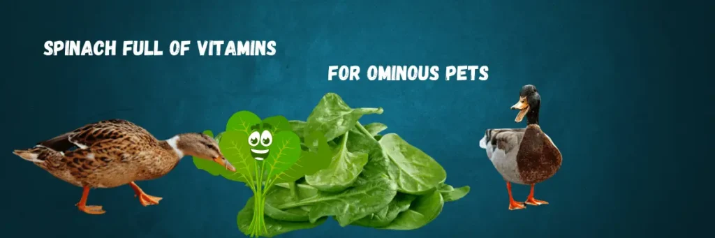 Spinach for Ducks and Ducklings